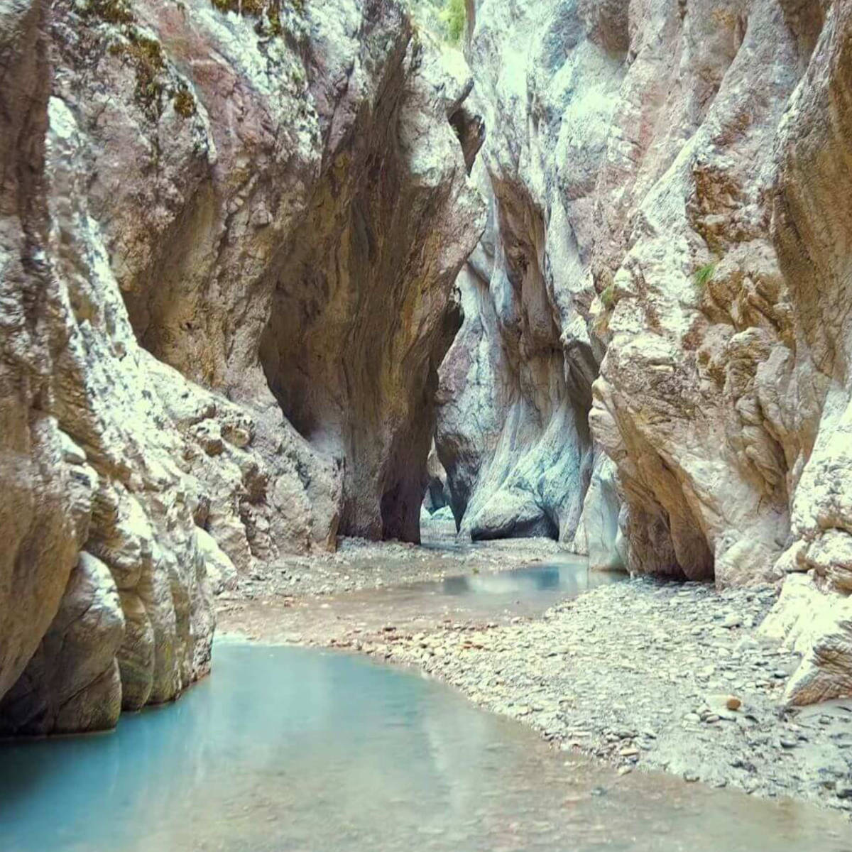 holta canyon